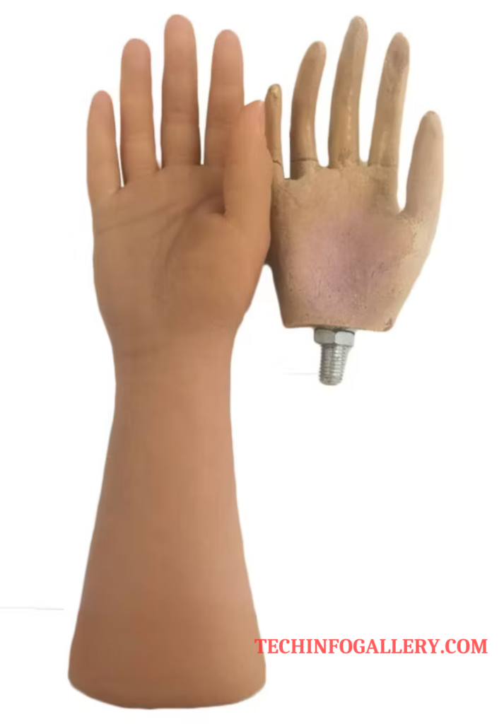 कृत्रिम हाथ और पैर (Prosthetic Limbs)